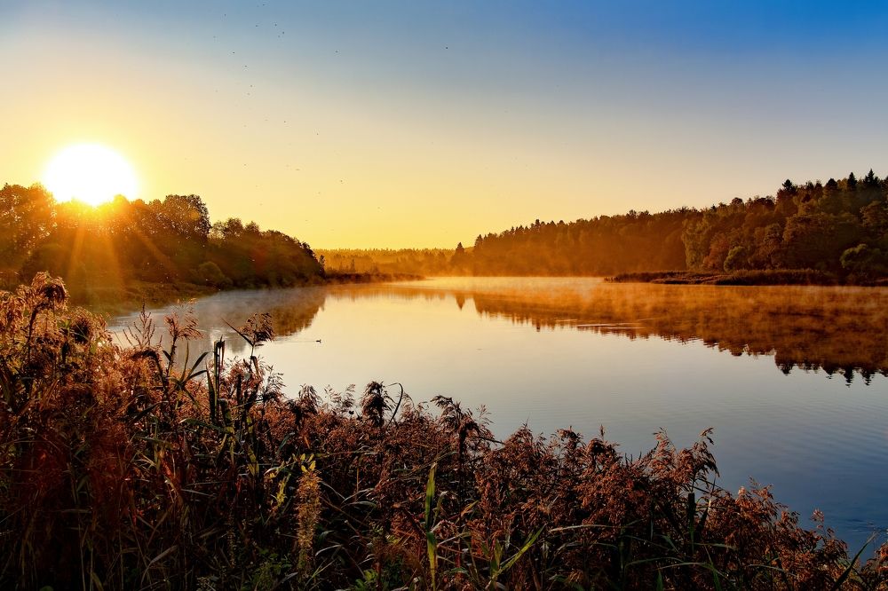 Photograph by Михаил Косолапов