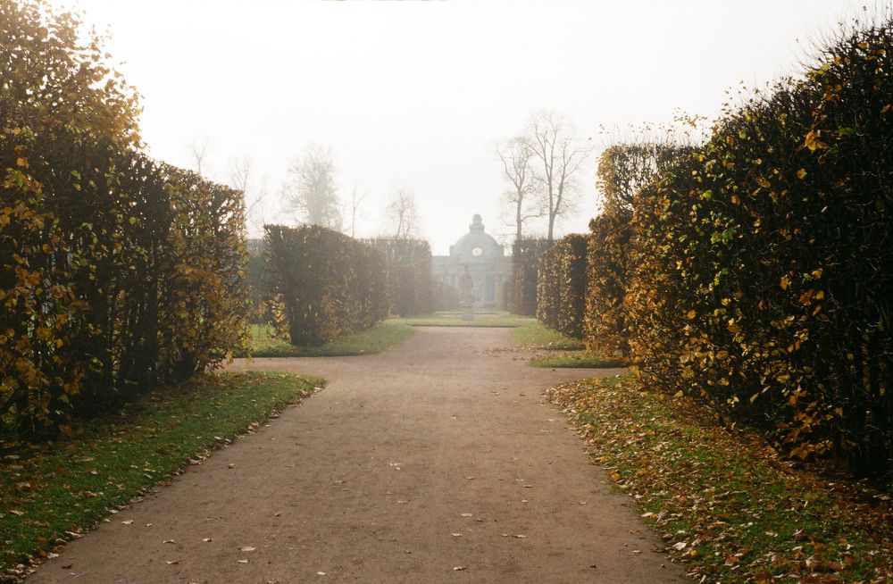 Photograph by Elizaveta Alatyrtseva