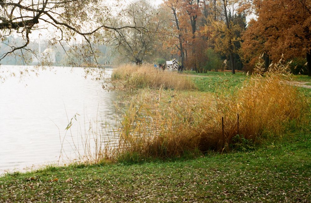 Photograph by Elizaveta Alatyrtseva