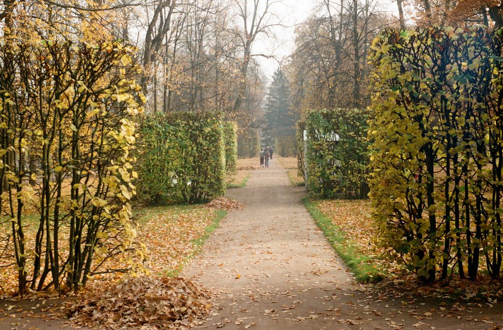 Photograph by Elizaveta Alatyrtseva