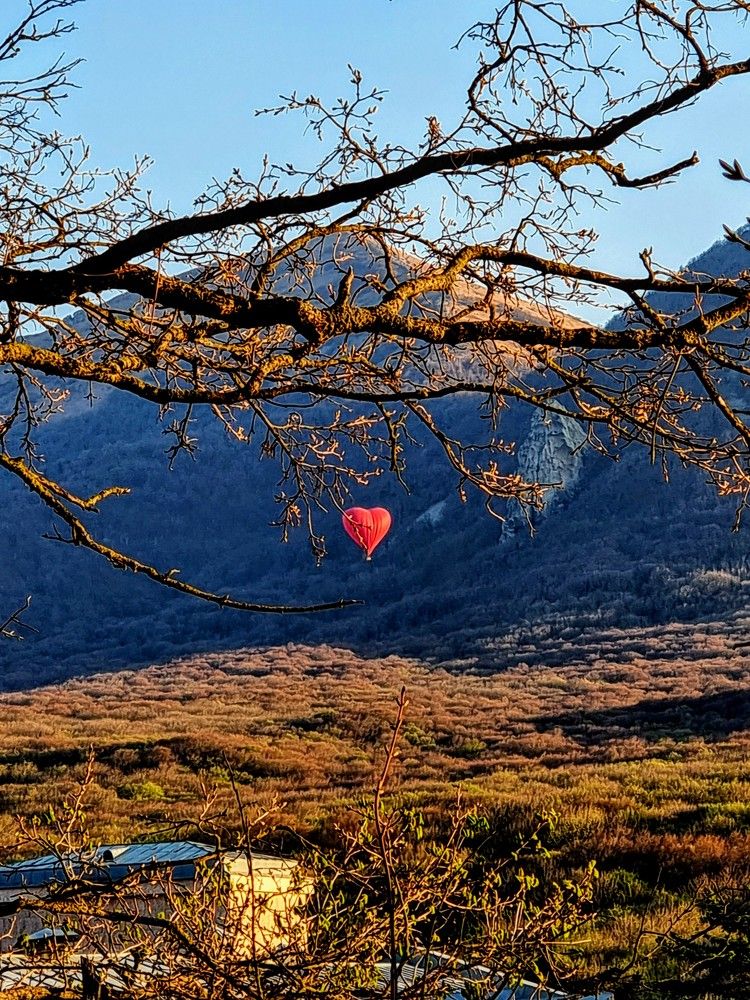 Photograph by Лидия Лащева