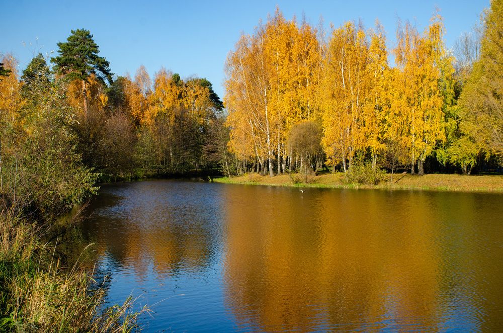 Photograph by Михаил Гурин