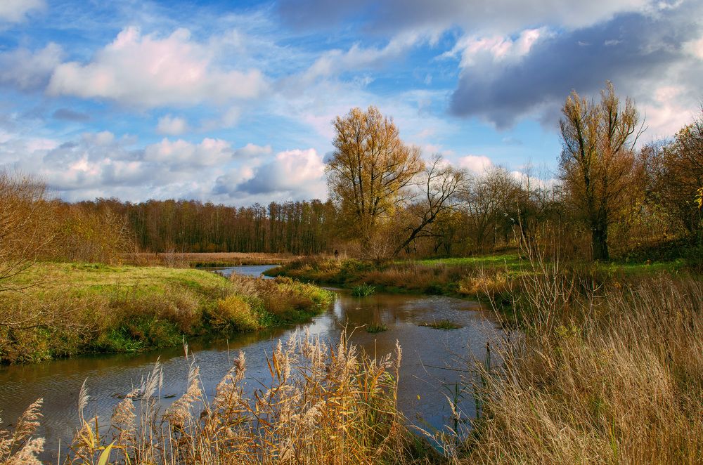 Photograph by Михаил Гурин