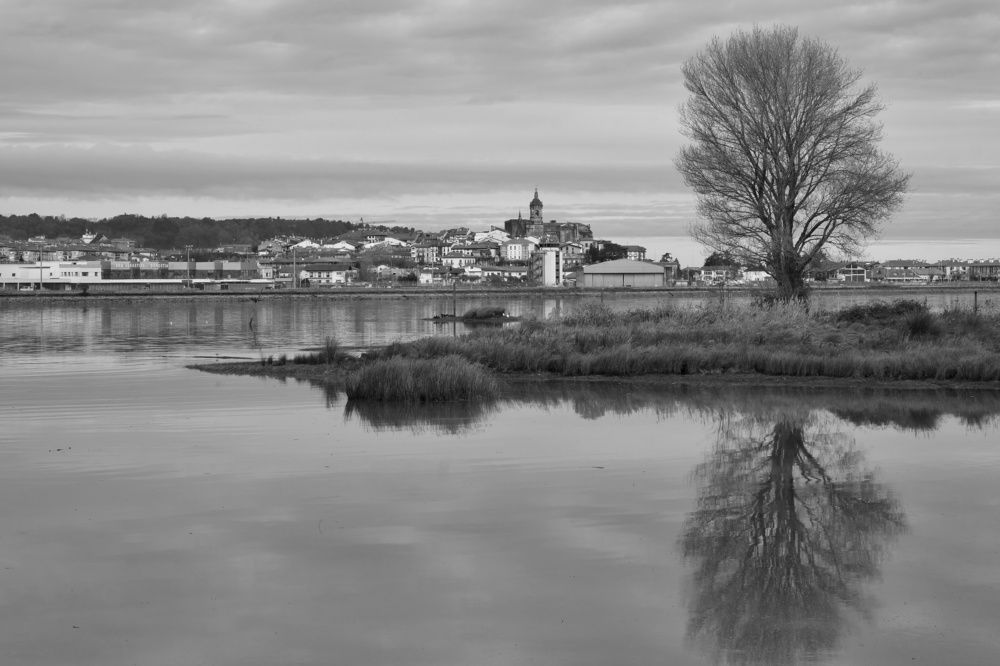 Photograph by Marian Lázaro