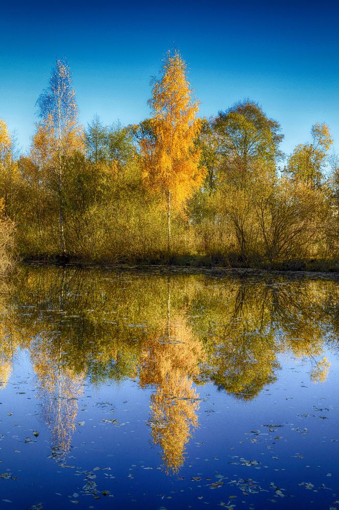 Photograph by Михаил Гурин