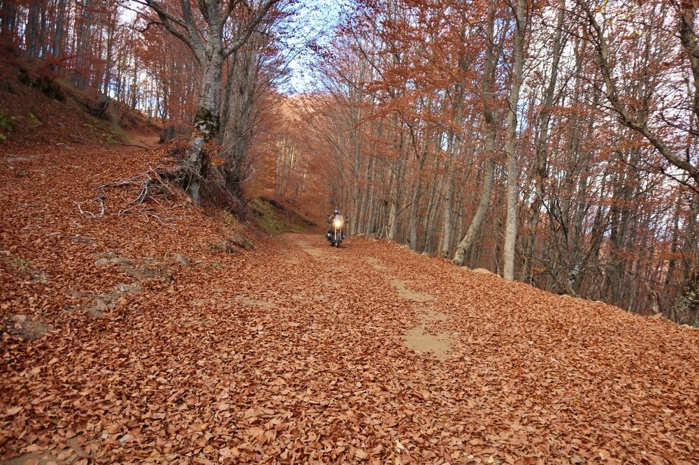 Photograph by Georgios