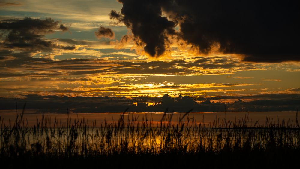 Photograph by Сергей