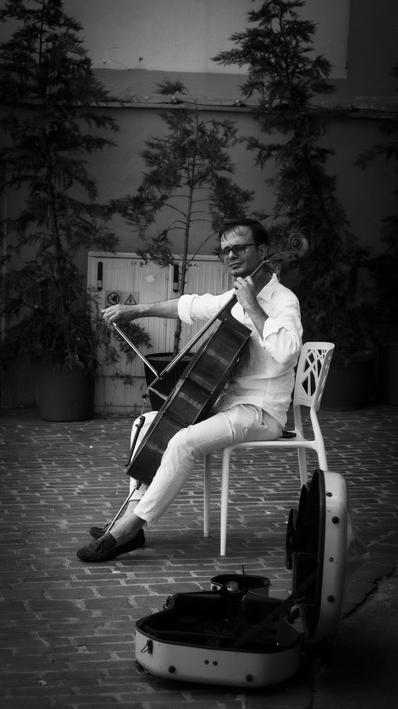 Photograph by Silviu Avramescu