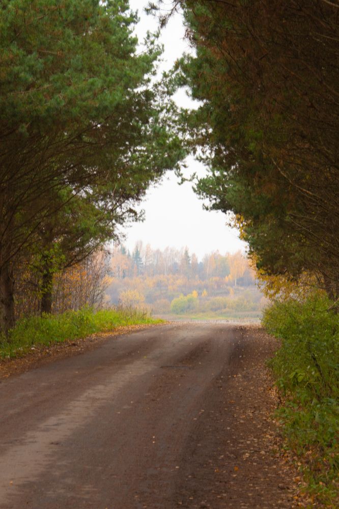 Photograph by Кристина