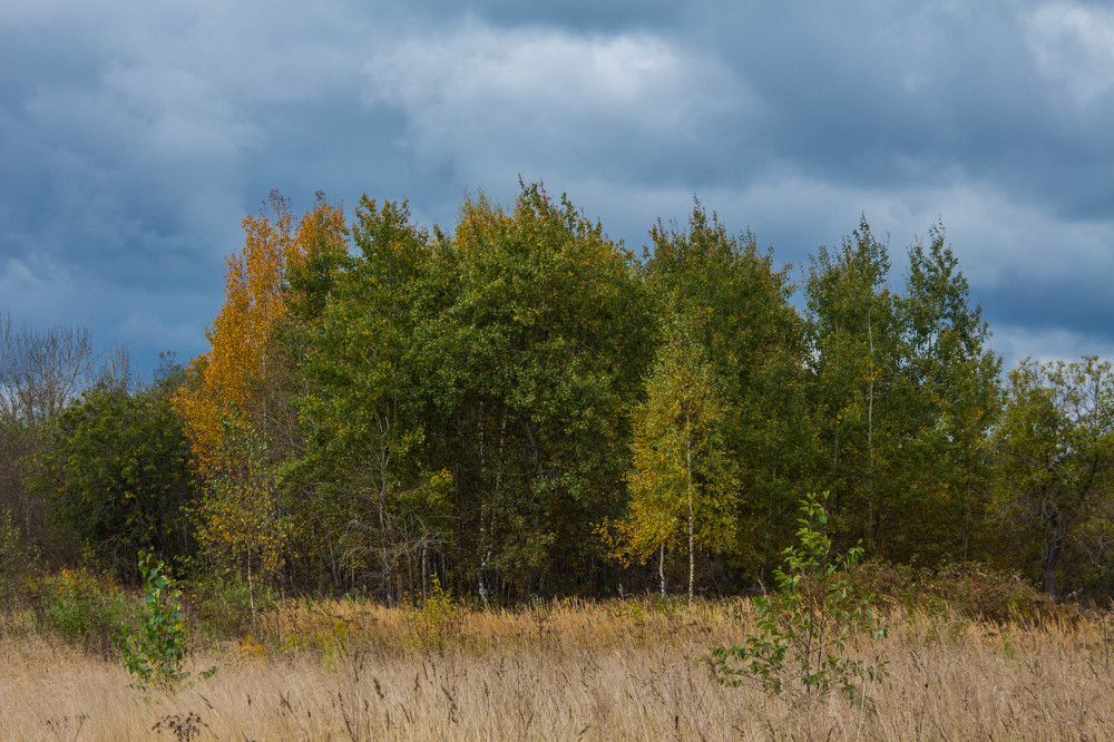 Photograph by Кристина