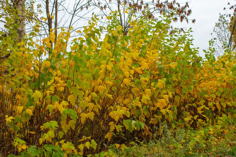 Photograph by Кристина