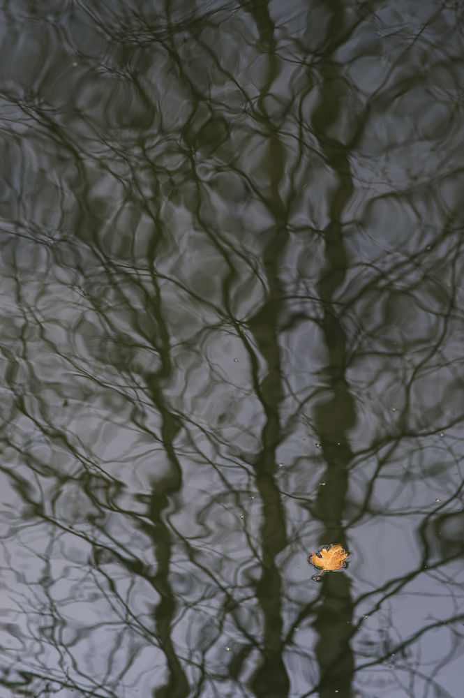 Photograph by Алексей Вяткин