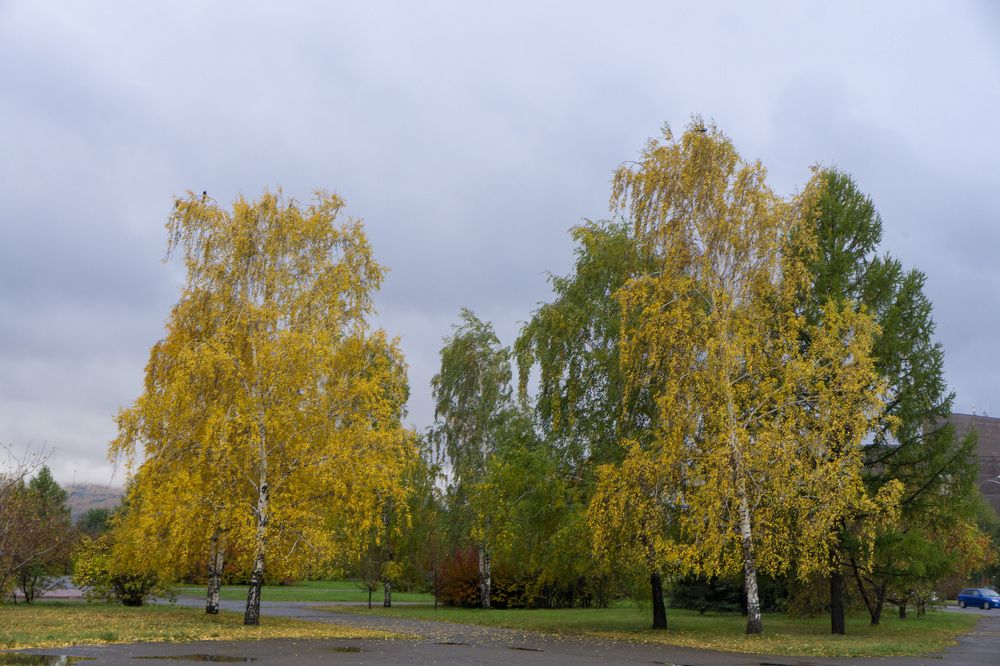 Photograph by Александр Пургин