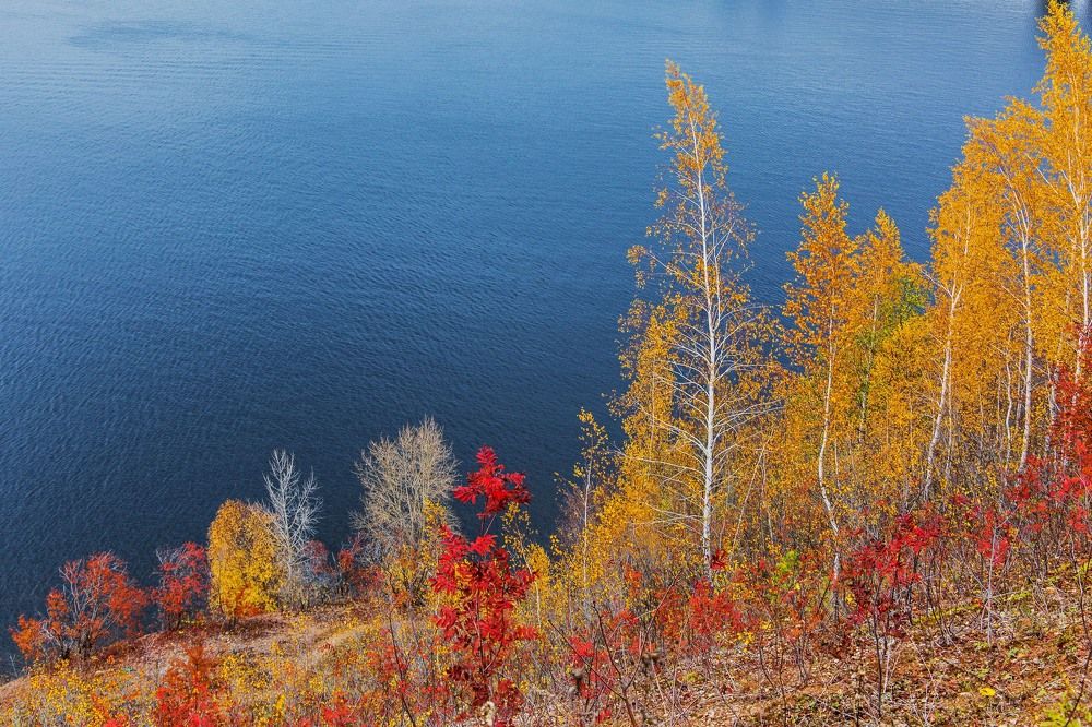 Photograph by Елена