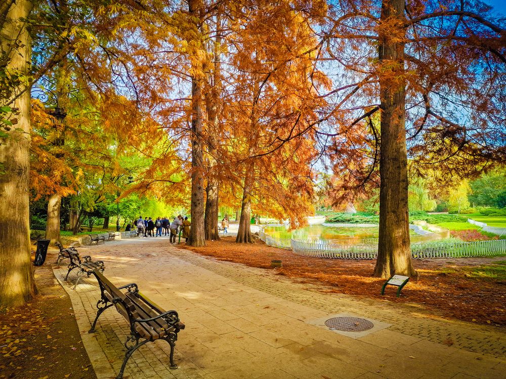 Photograph by Dragan Jekić