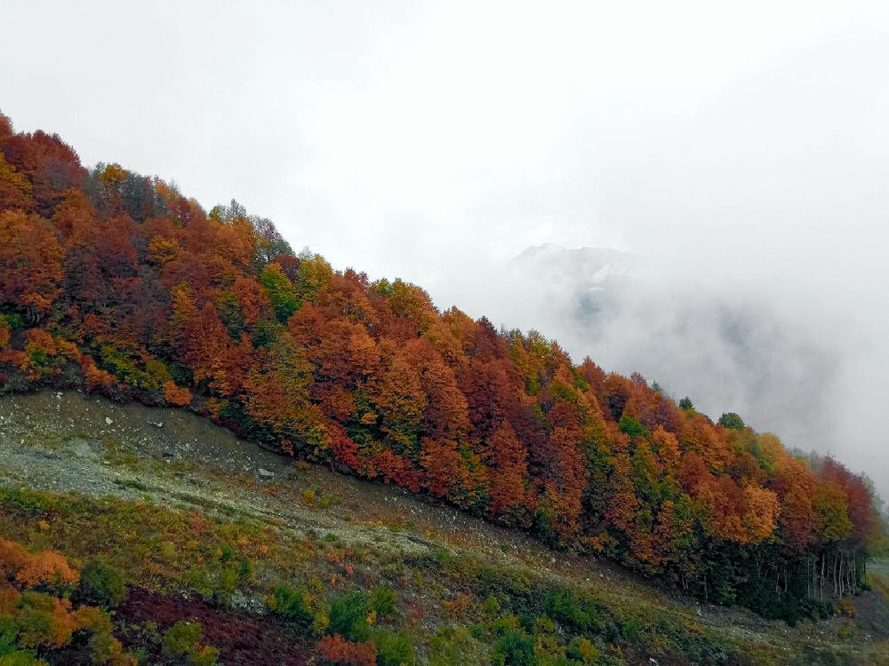 Photograph by Алексей Коношонкин