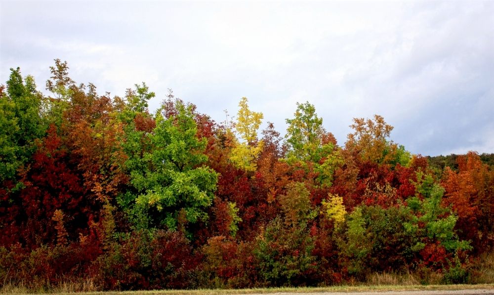 Photograph by Алексей Коношонкин