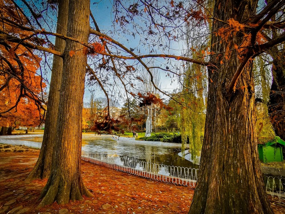 Photograph by Dragan Jekić