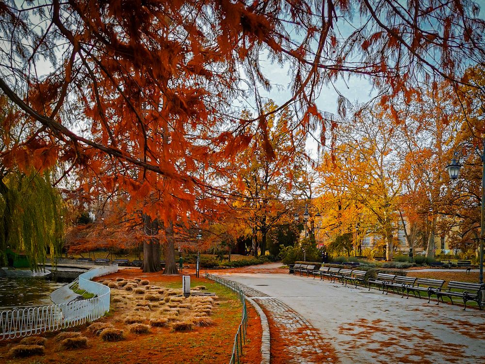 Photograph by Dragan Jekić