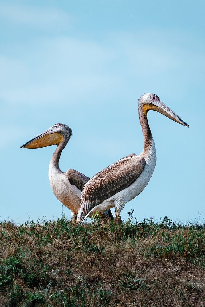 Photograph by Сапронова Марина