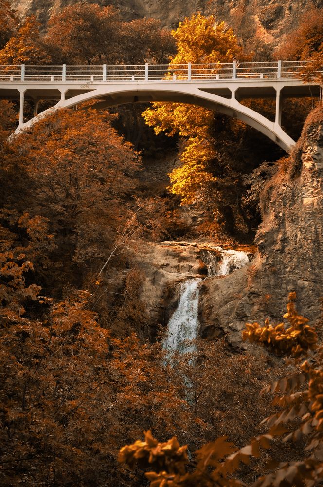 Photograph by Марина Маркина