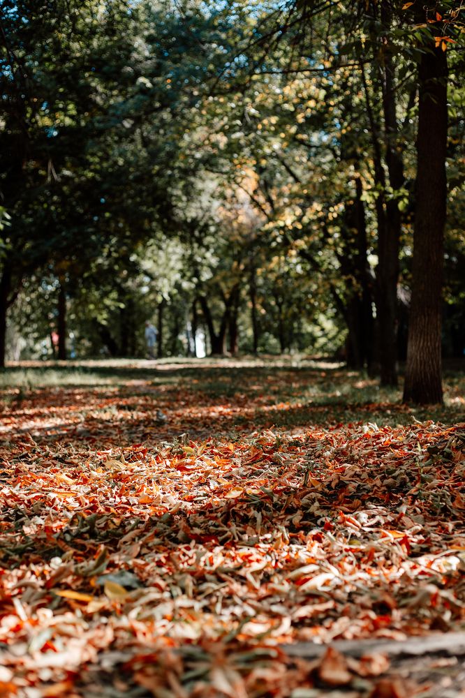 Фотография автора Дарина Фельдман