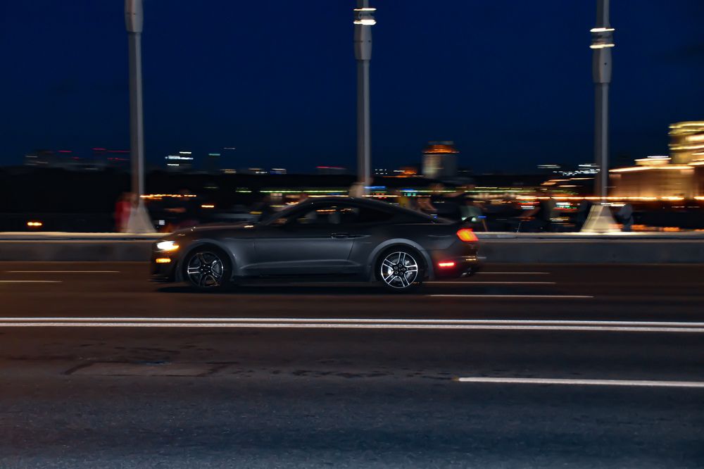 Photograph by Elvira