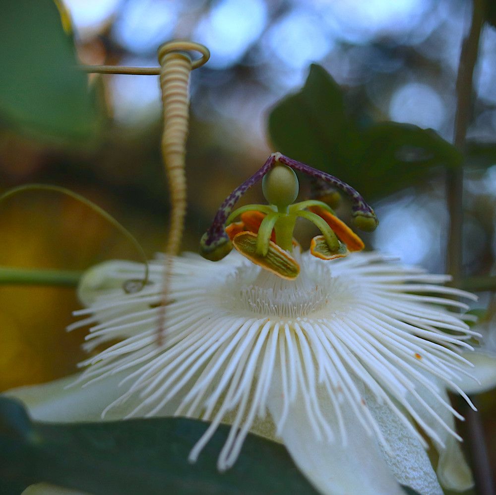 Photograph by Гагик Саркисян