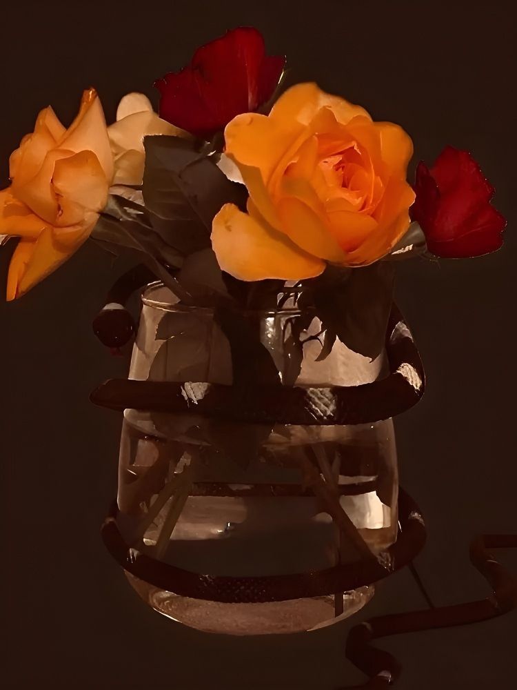 Фотография автора Ala Shalukhanskaya