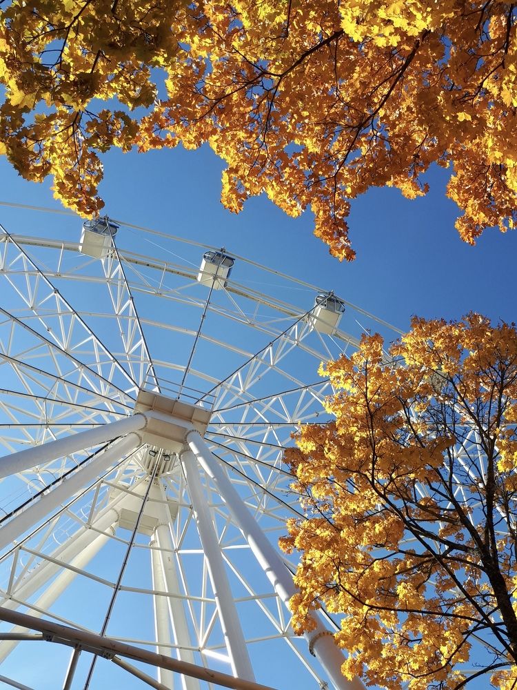 Photograph by Алиса Чугунова