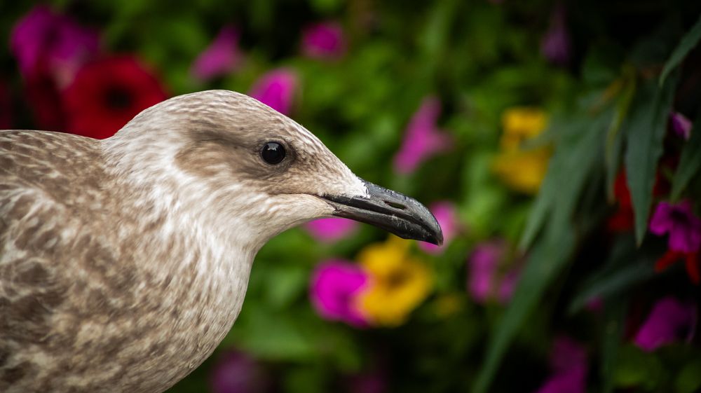 Photograph by Дима Захаров