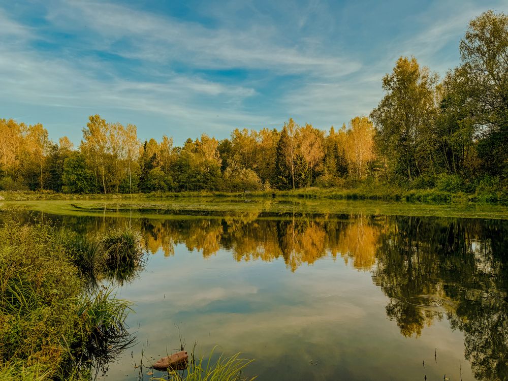 Photograph by Виктория Лаур