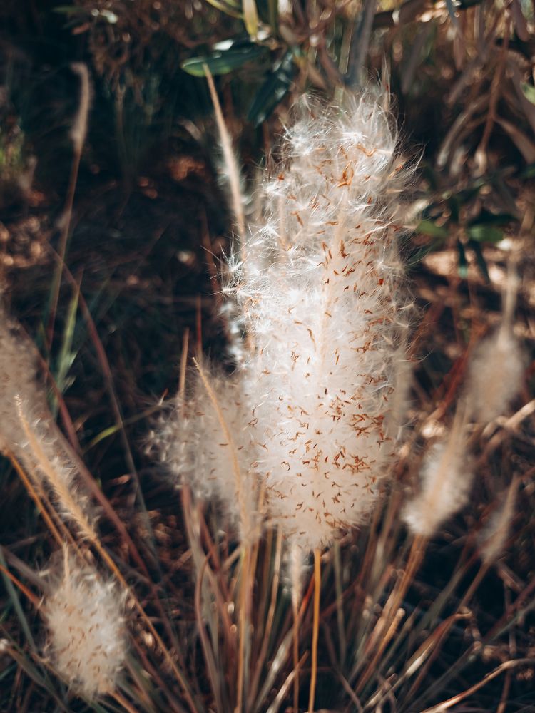 Фотография автора Youstina Rowes