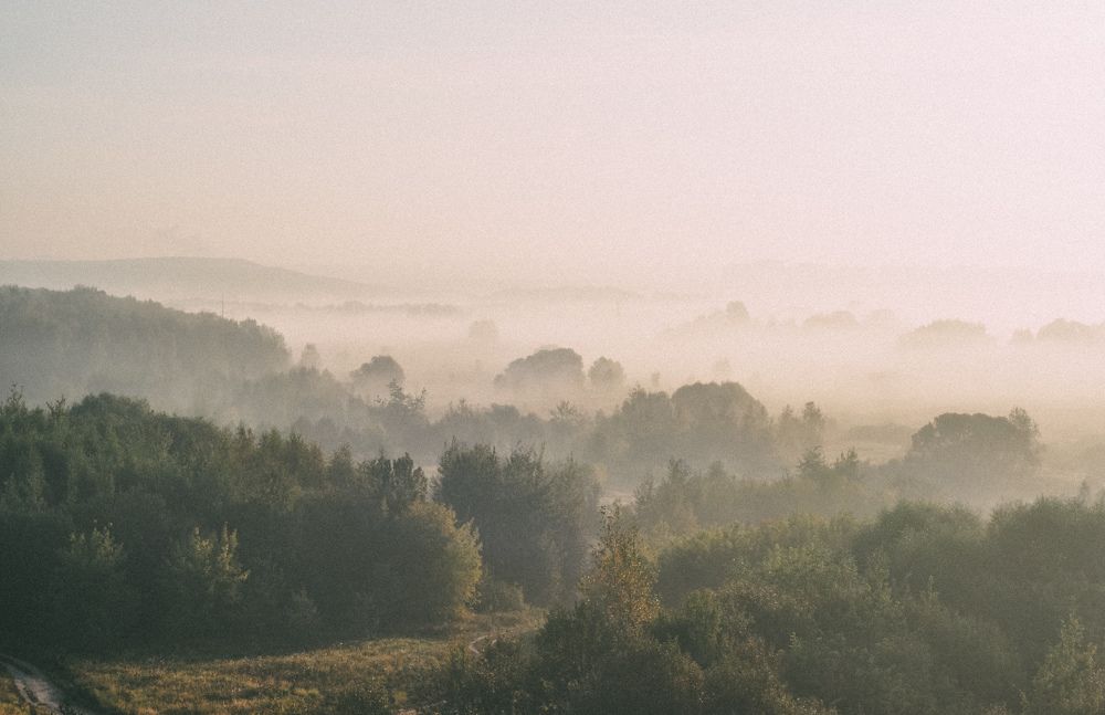 Photograph by Светлана Бачеко