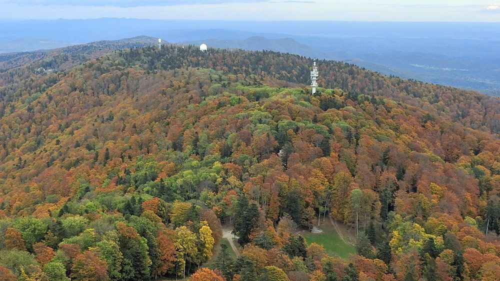 Photograph by Emil Zivanov