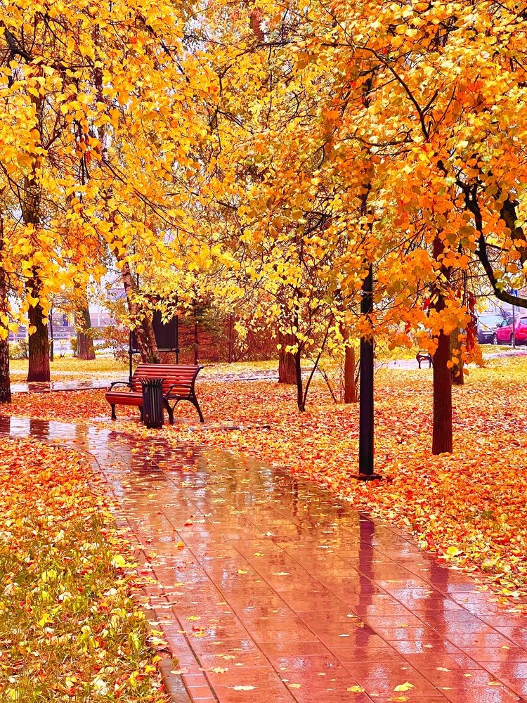 Photograph by Шувалова Мария
