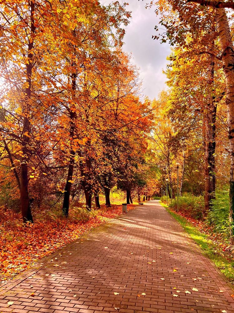 Photograph by Шувалова Мария
