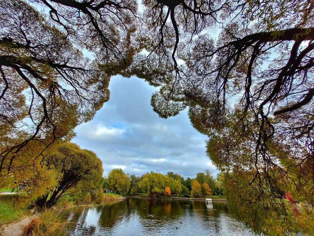Фотография автора Светлана Зимина