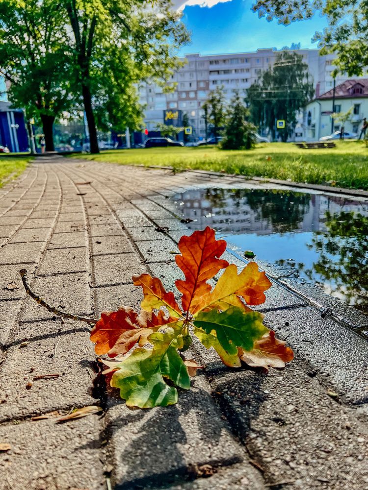 Photograph by Ольга Шведова