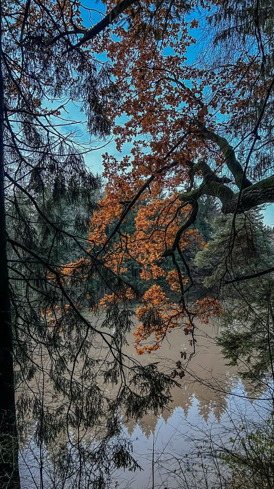 Photograph by Ольга Шведова