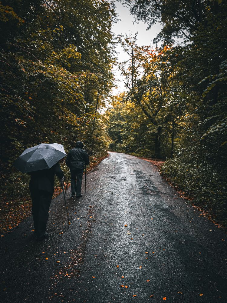 Photograph by Ayman Naguib