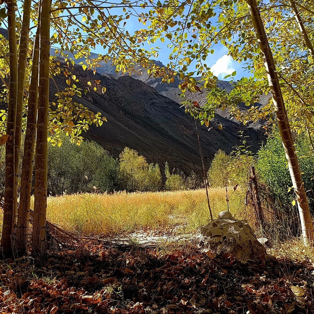 Photograph by Rahul Raman