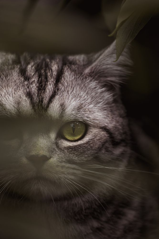 Photograph by Chen Chen