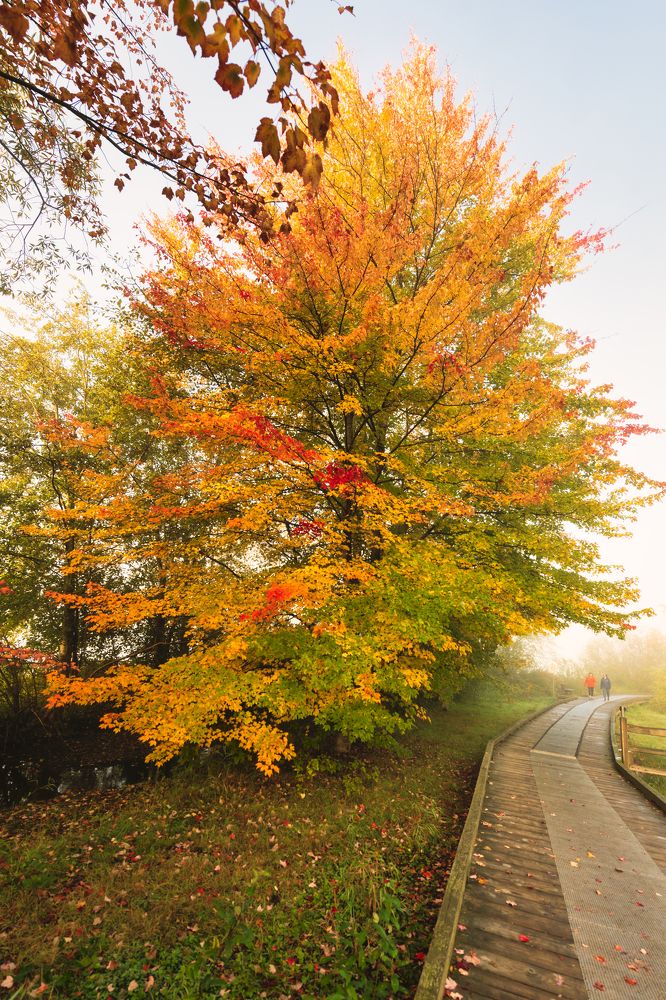 Photograph by Dung Pham