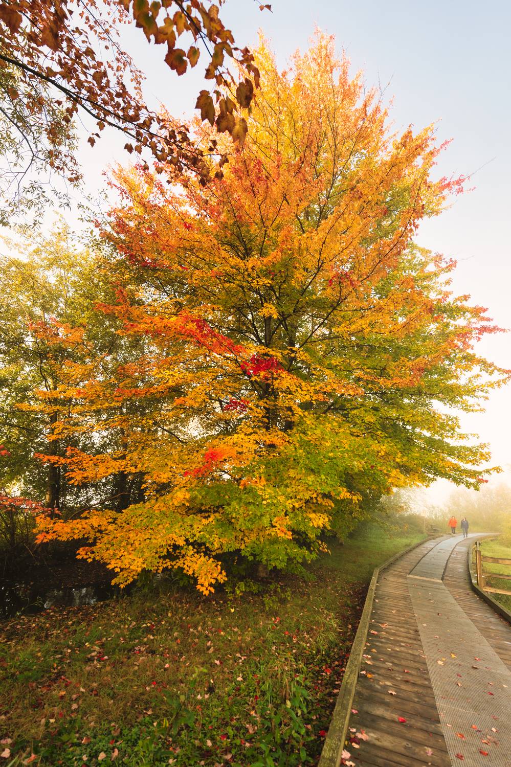 Фотография #11064871