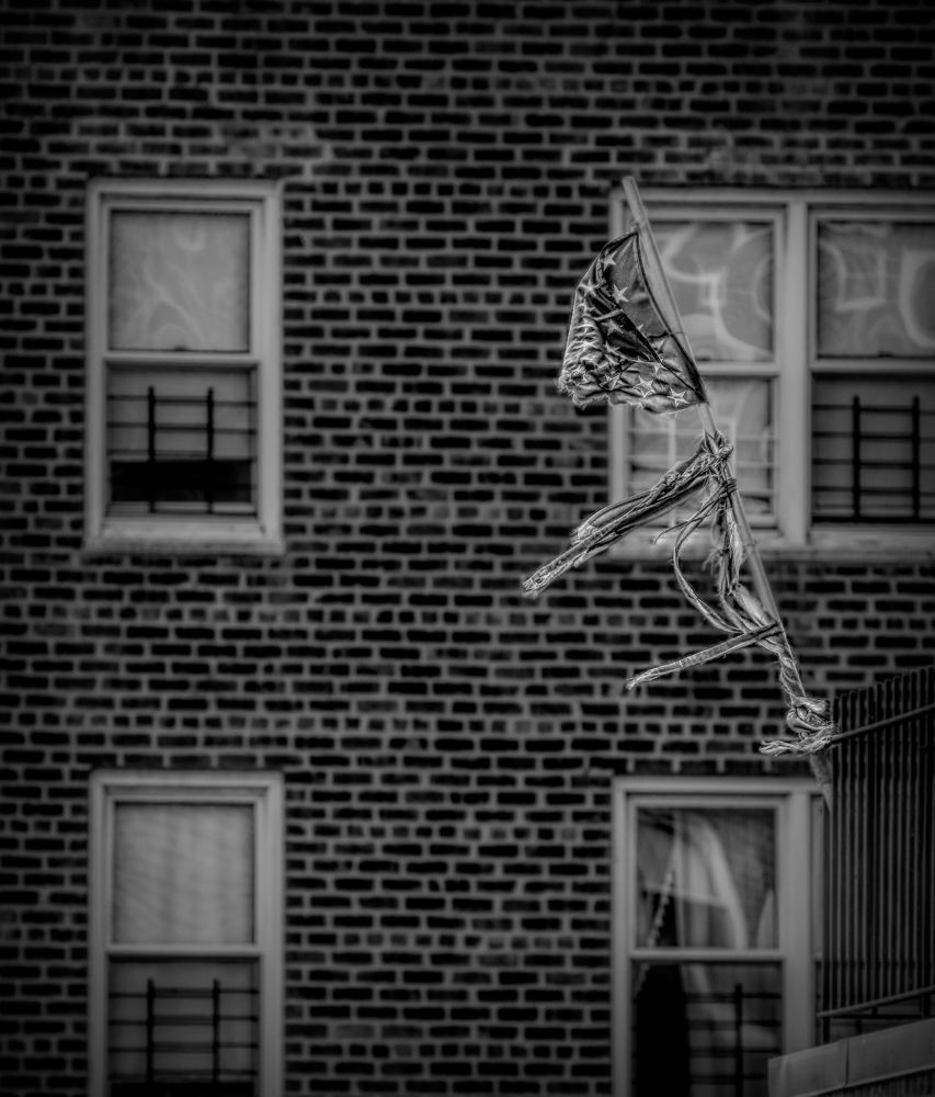 Photograph by Oleg Chemodanov