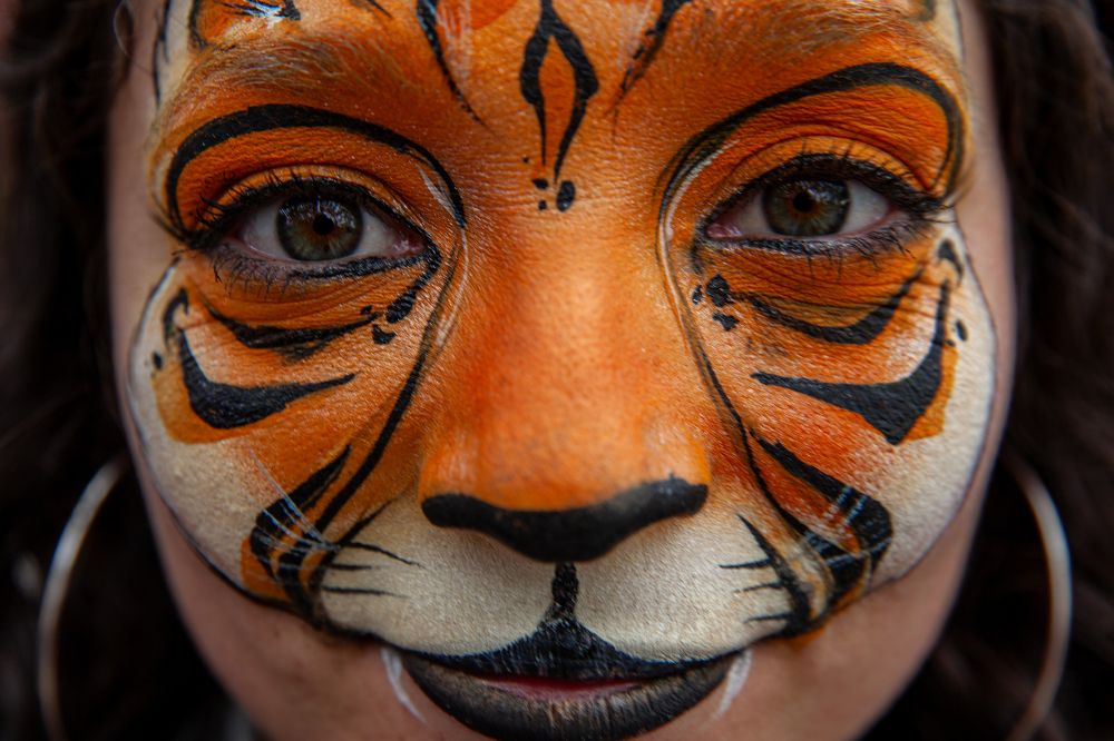 Photograph by Cifuentes Araya Bastián