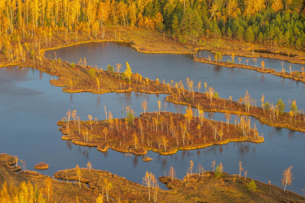 Photograph by Marina Lystseva