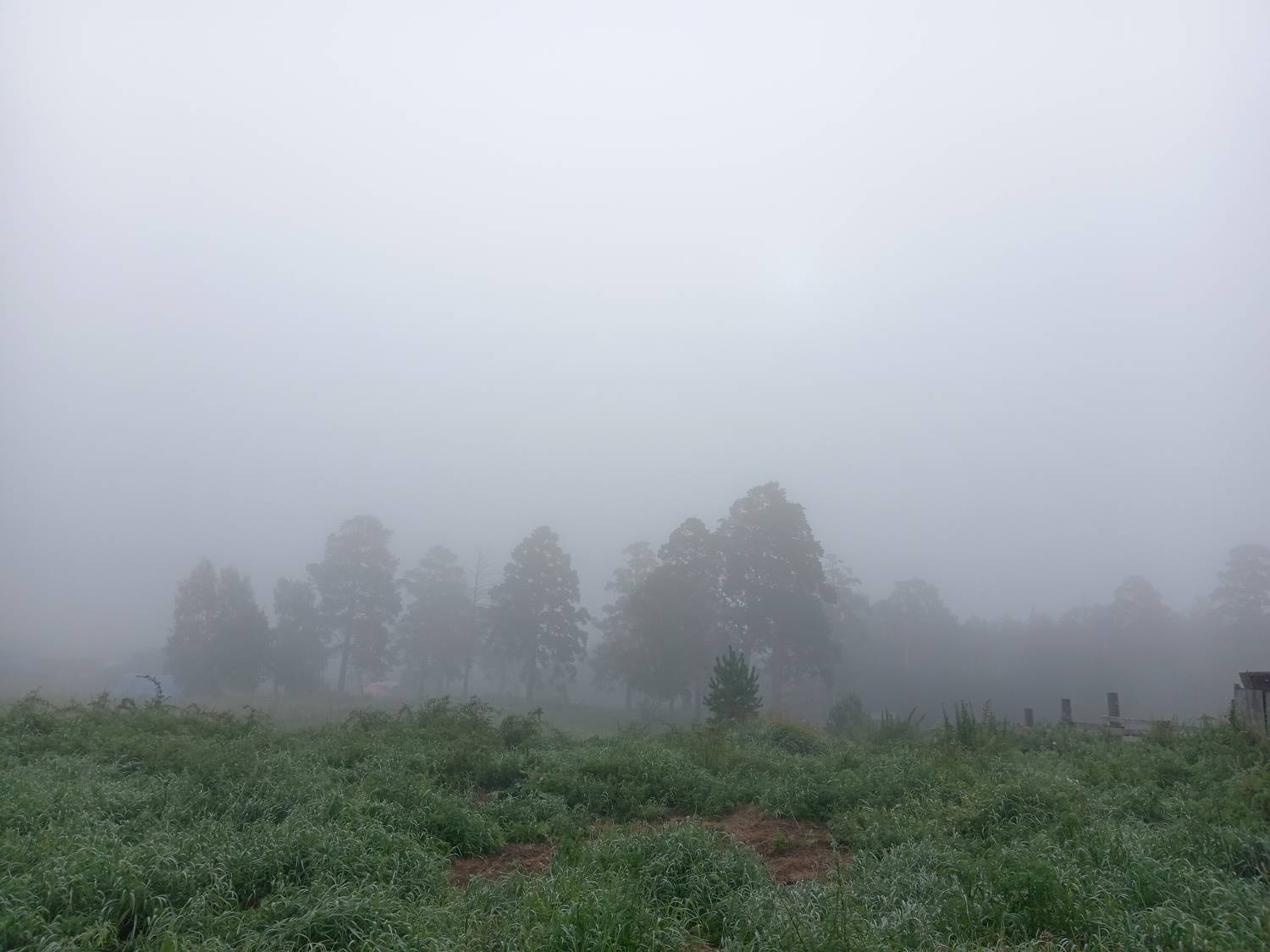 Утро