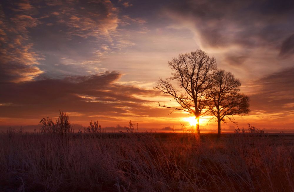 Фотография автора Eugenijus Rauduve